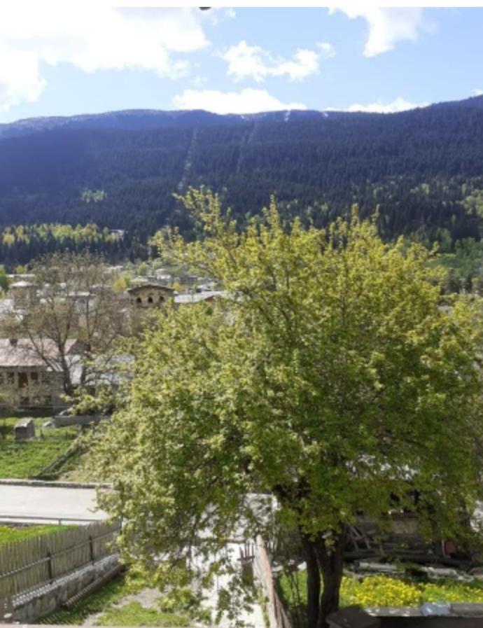 Hotel White Mountains • Თეთრი Მთები Mestia Esterno foto